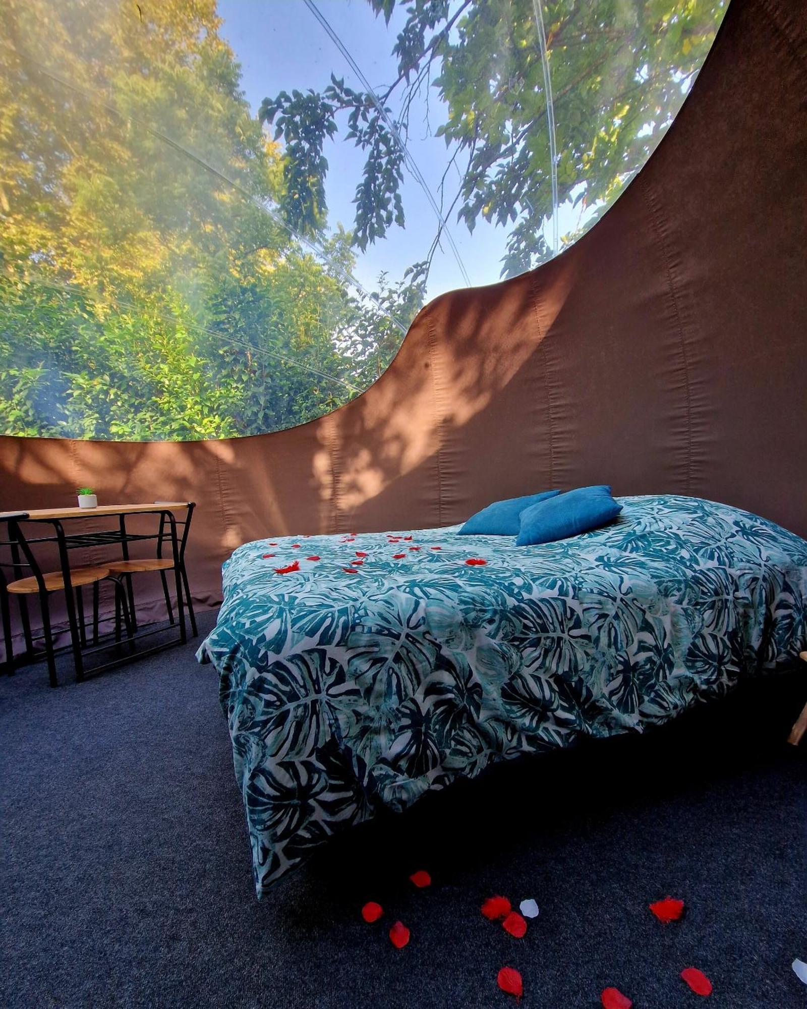 Les Nuits De Cassiopee Bed & Breakfast Sorde-lʼAbbaye Cameră foto